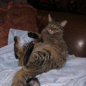 Meet your Posher, Sam